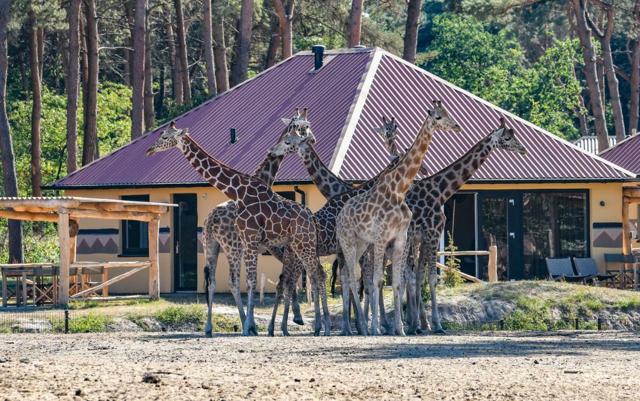 Safari Resort Beekse Bergen Hilvarenbeek Exterior foto